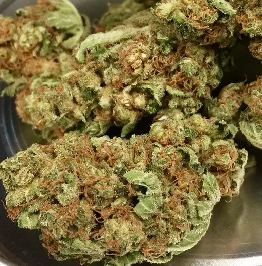 Buy Zerbert Strain Online in the uk and where Buy Zerbert Strain Online in the uk